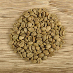 Café d'Inde - Malabar Moussonné - Tasse